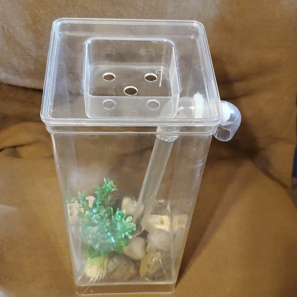 Small Plastic Self Cleaning Fish Tank Aquarium - Picture 2 of 4